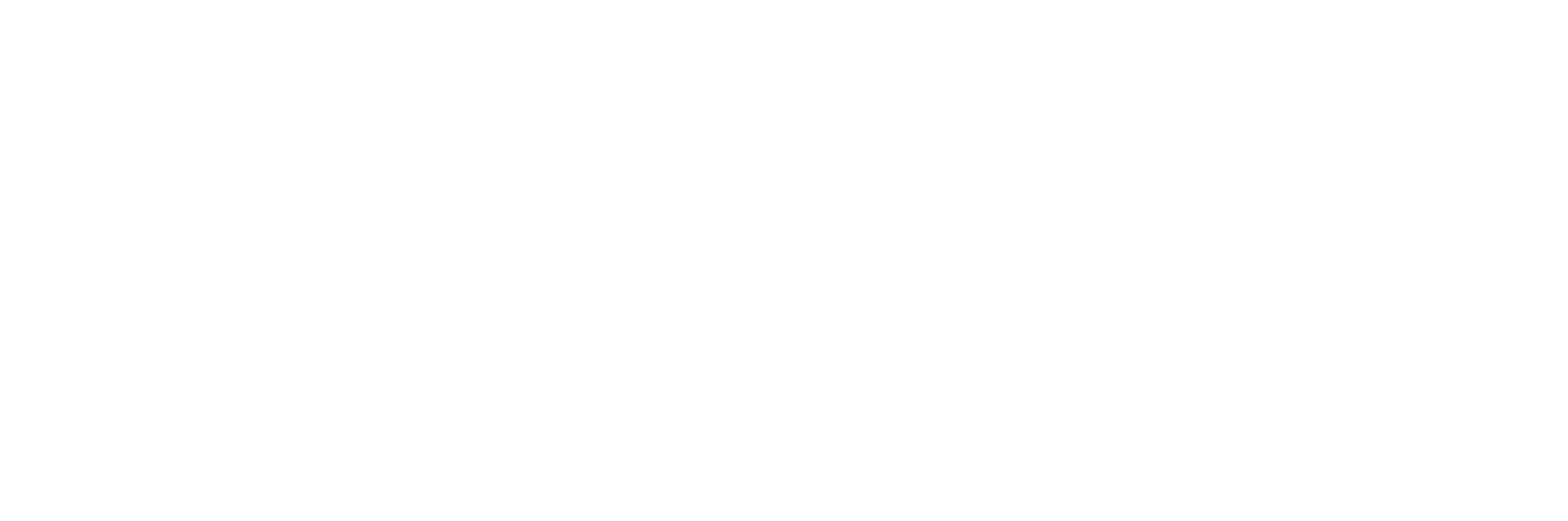 Radmor_GRUPA_WB_logoWHITE