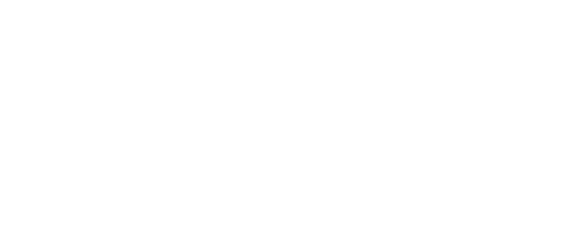 WB_Arex_logoWHITE client-image