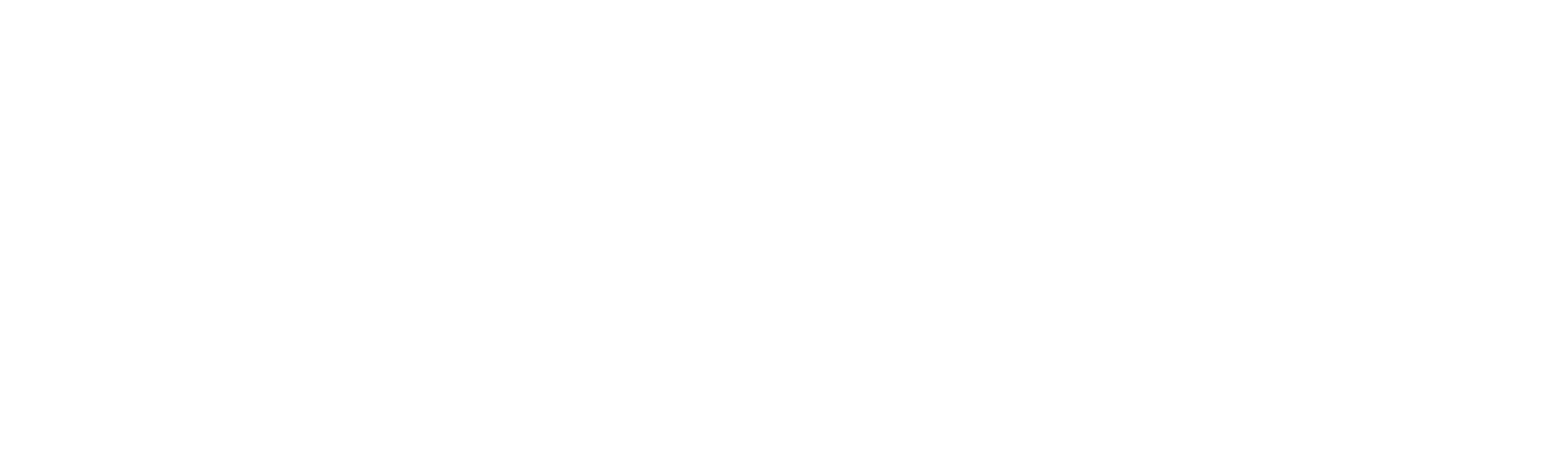 WB_Flytronic_logoWHITE client-image