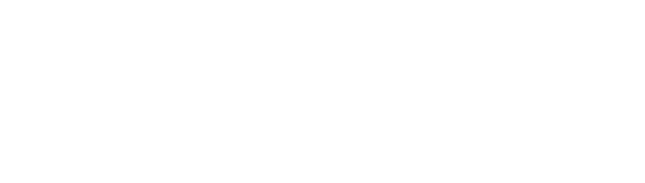 WB_Mindmade_logoWHITE client-image